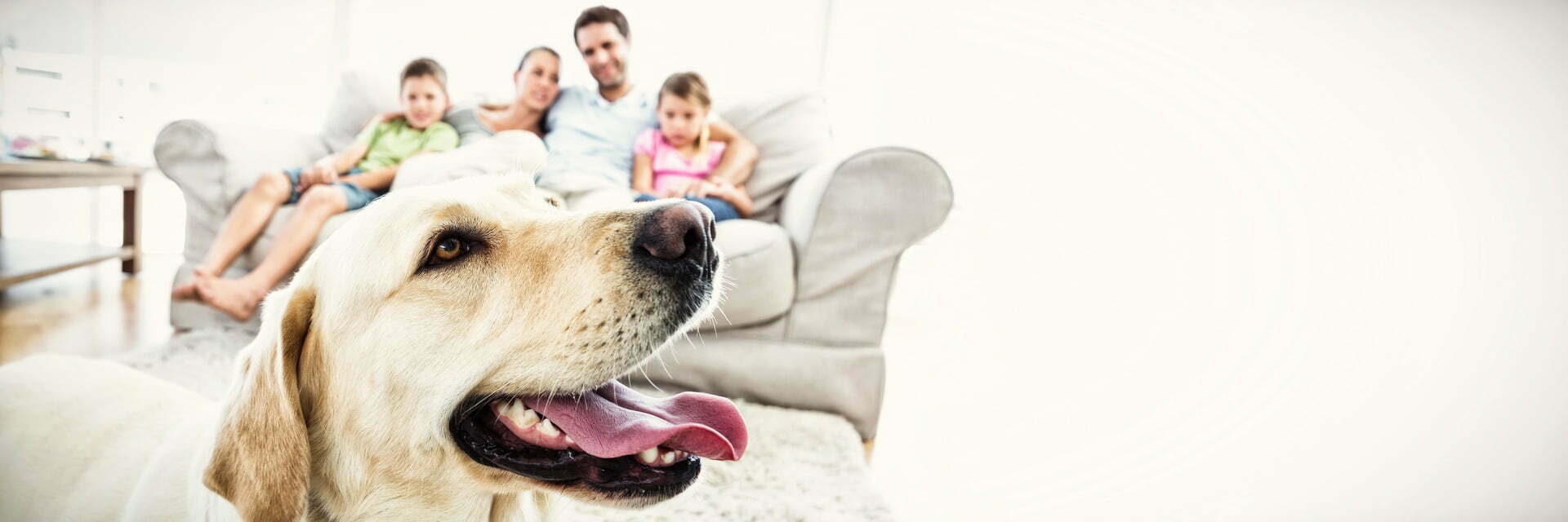Picture of Family With Dog in Clean Home
